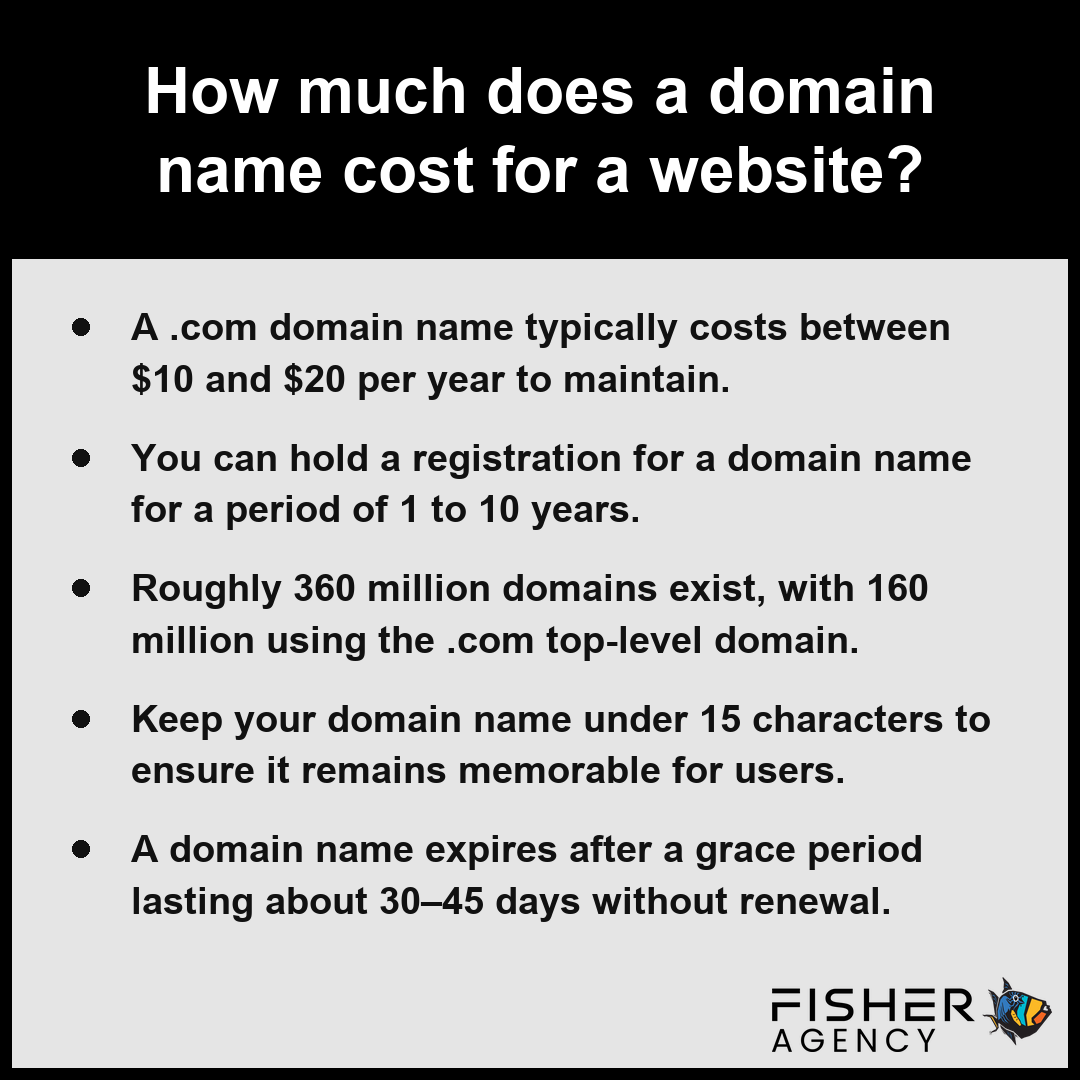 A summary card explains that the cost of a domain name depends on registration terms and current global market demand.